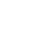 icon-ins